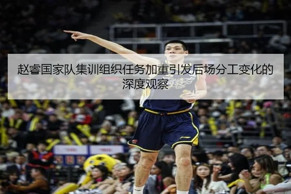 赵睿国家队集训组织任务加重引发后场分工变化的深度观察